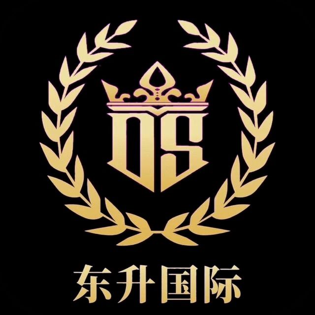 东升国际